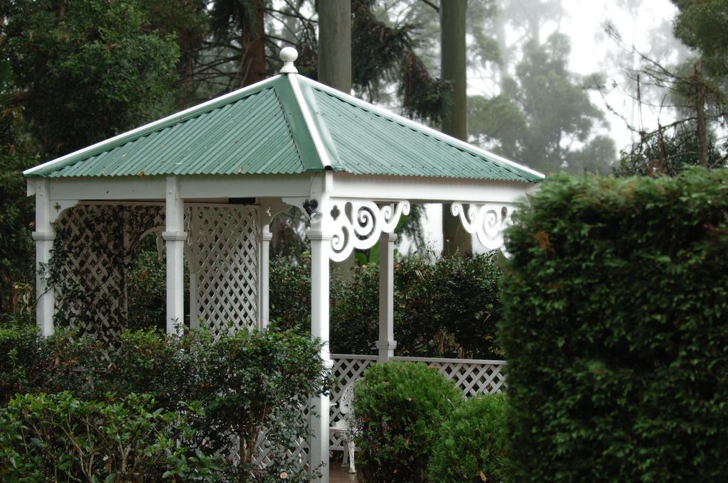 Hotel The Castle On Tamborine Mount Tamborine Exterior foto